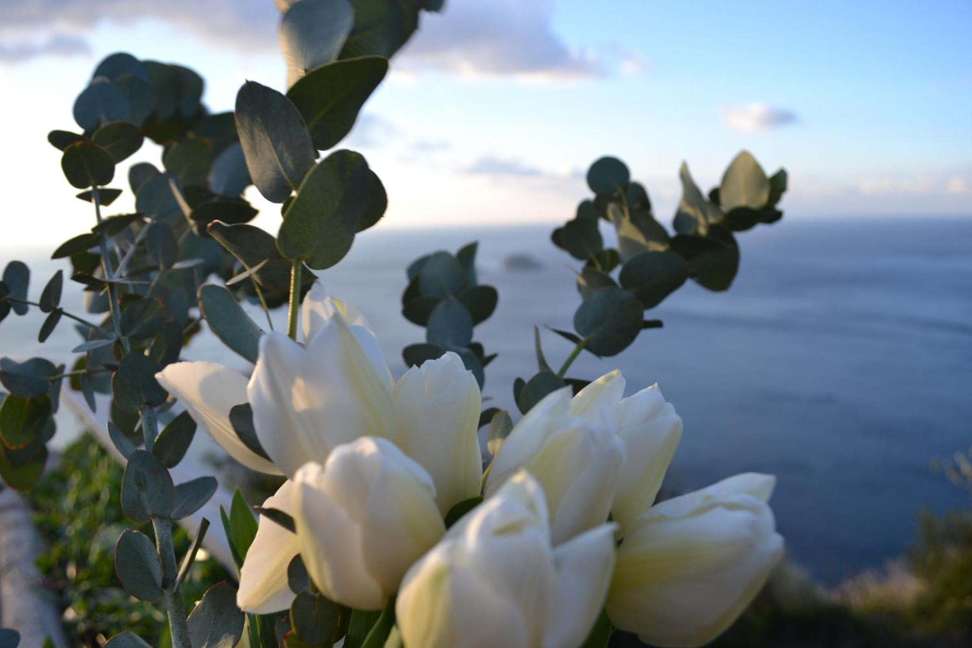 Casa La Bifora Positano Villa Exteriör bild